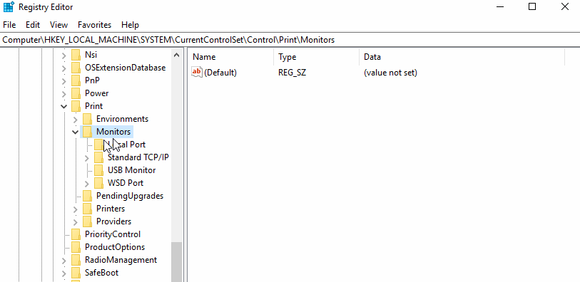 Port Monitor Registry Key